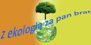 images12
